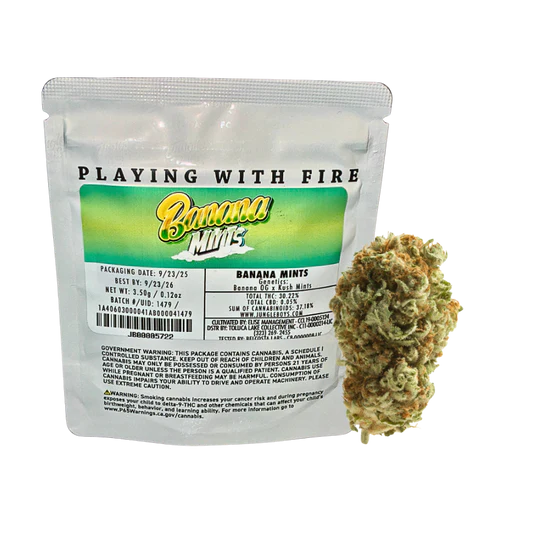 JUNGLE BOYS “BANANA MINTS" CANNABIS FLOWER JUNGLE BOYS “BANANA MINTS" CANNABIS FLOWER