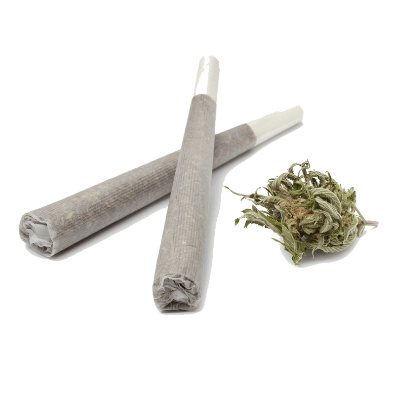 Buy Gelato Pre-Rolls |Jeeter Pre Rolls| Infused THC - Online Buy Gelato Pre-Rolls |Jeeter Pre Rolls| Infused THC - Online