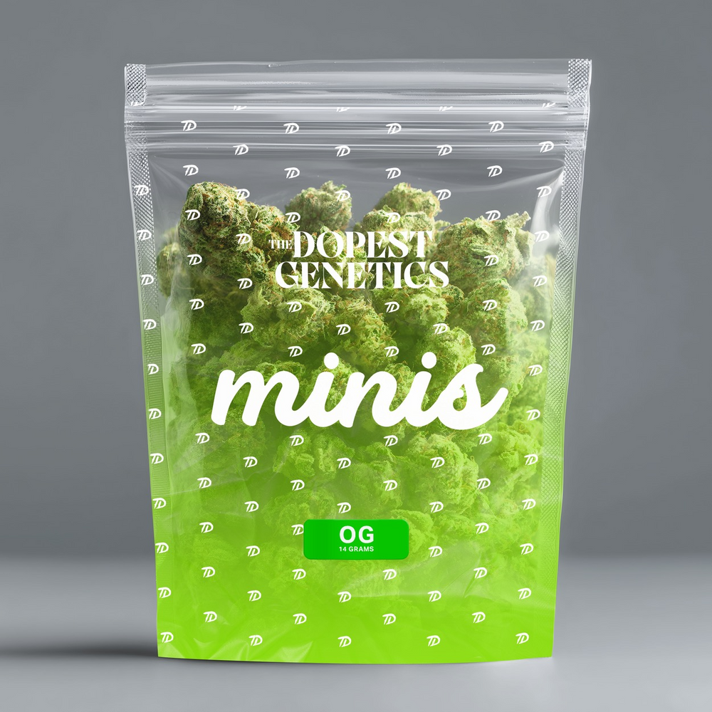 Half Ounce MINIS OG Hybrid Flower: 14 grams Half Ounce MINIS OG Hybrid Flower: 14 grams