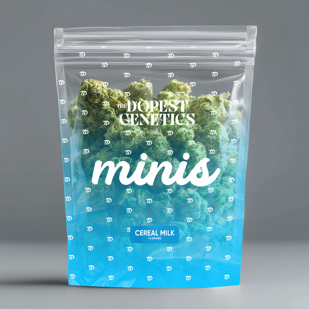 MINIS Cereal Milk Hybrid Flower MINIS Cereal Milk Hybrid Flower