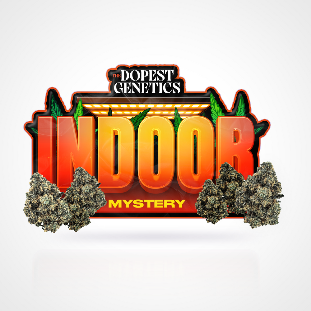 Mystery Pack 3.5g: Indoor Flower Mystery Pack 3.5g: Indoor Flower