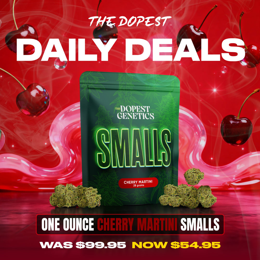 Smalls: Cherry Martini Hybrid flower 28 grams Daily Deal Smalls: Cherry Martini Hybrid flower 28 grams Daily Deal