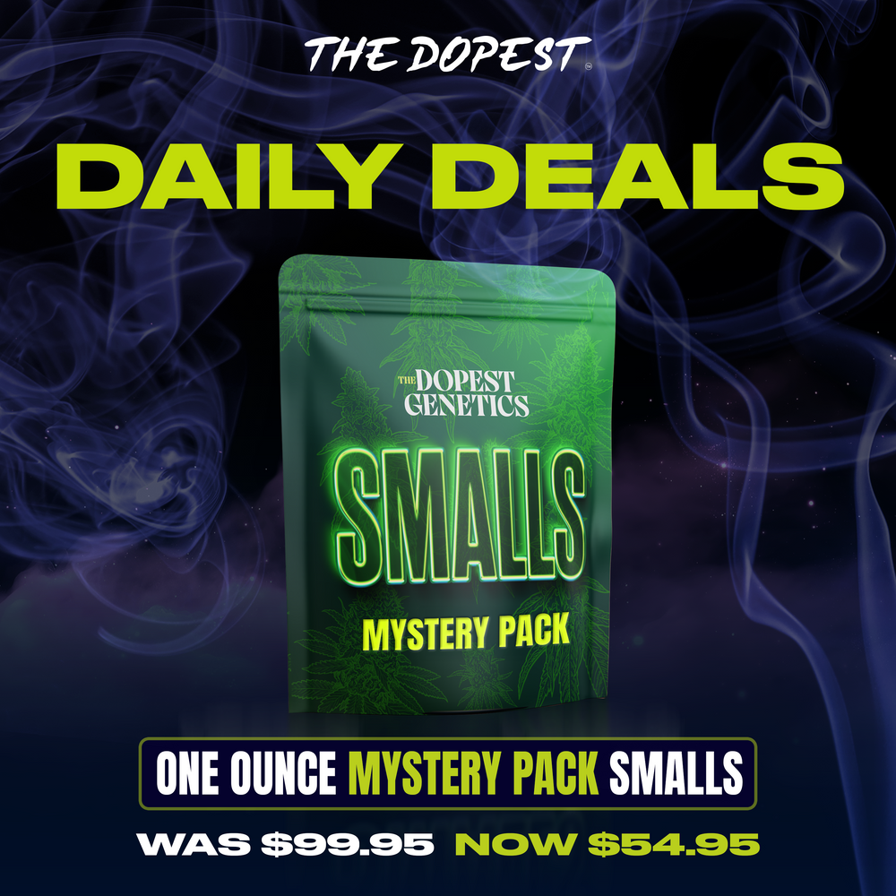 Smalls: Mystery Pack flower 28 grams Daily Deal Smalls: Mystery Pack flower 28 grams Daily Deal