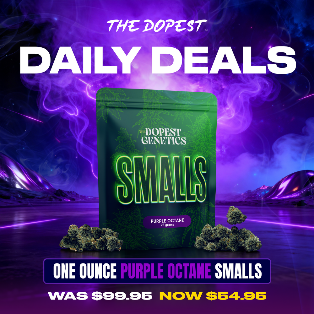 Smalls: Purple Octane Indica flower 28 grams Daily Deal Smalls: Purple Octane Indica flower 28 grams Daily Deal