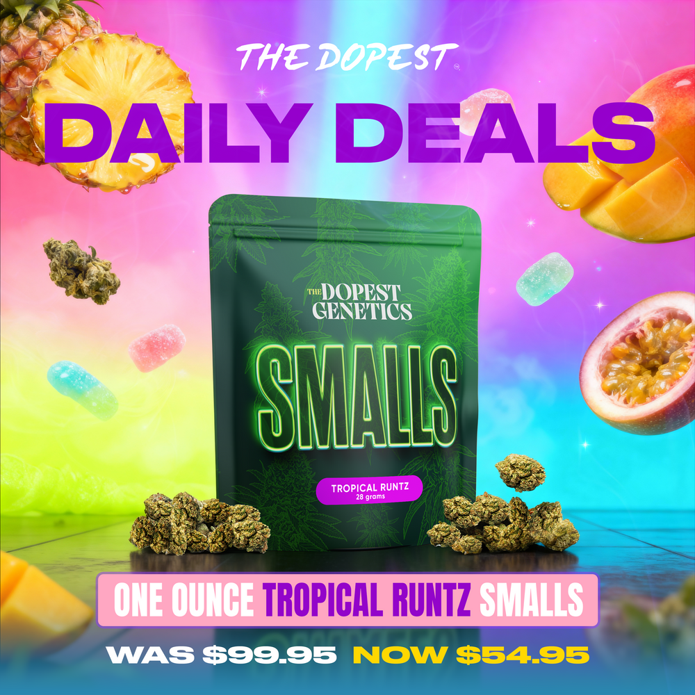 Smalls: Tropical Runtz Indica flower 28 grams Daily Deal Smalls: Tropical Runtz Indica flower 28 grams Daily Deal