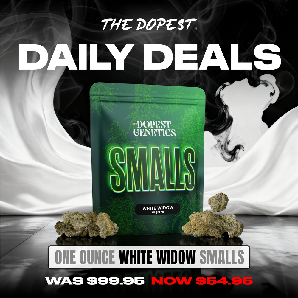 Smalls: White Widow Indica flower 28 grams Daily Deal Smalls: White Widow Indica flower 28 grams Daily Deal